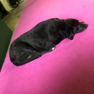 Meet your Posher, Stacie